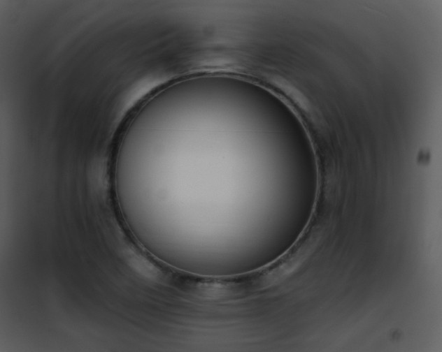 X0000102001458200807181153