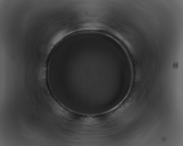 X0000102001459200807181153