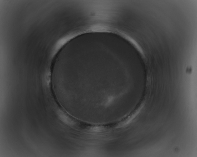 X0000102001461200807181153