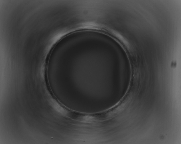 X0000102001463200807181153