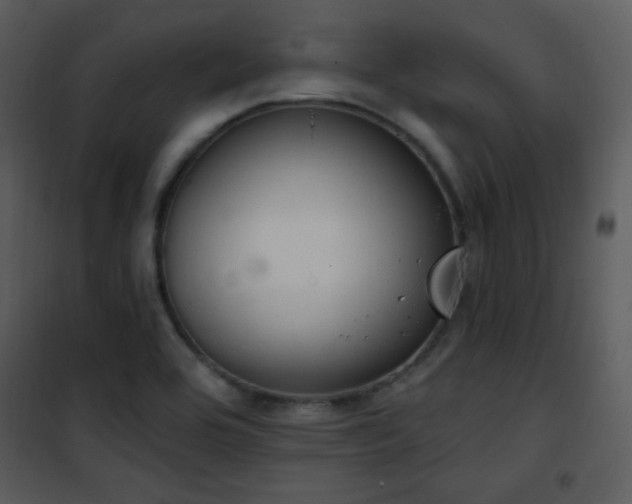 X0000102001464200807181153