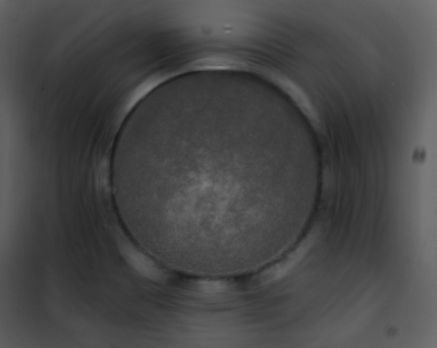 X0000102001465200807181153