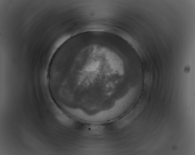 X0000102001466200807181153