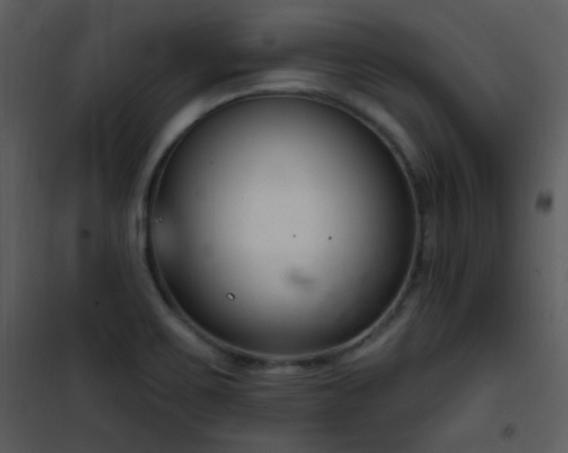 X0000102001467200807181153