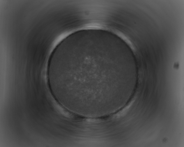 X0000102001469200807181153