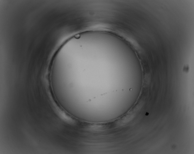 X0000102001470200807181153