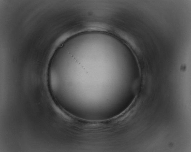 X0000102001471200807181153