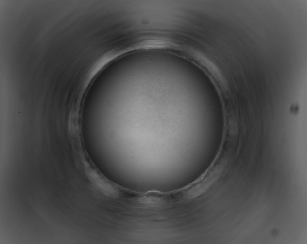 X0000102001473200807181153