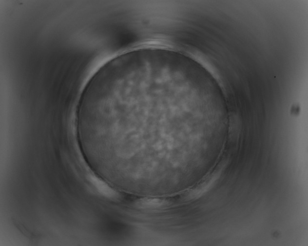 X0000102001474200807181153