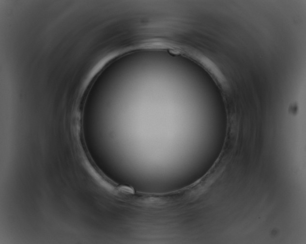 X0000102001476200807181153