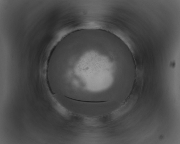 X0000102001477200807181153