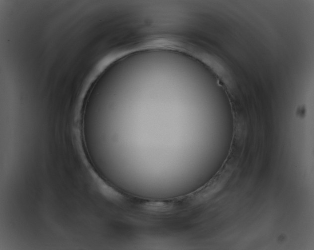 X0000102001478200807181153