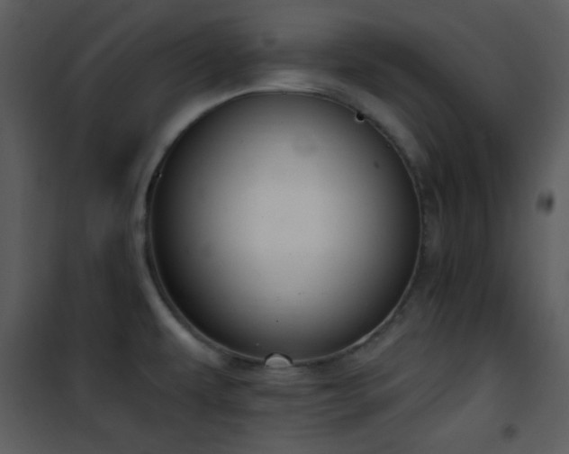 X0000102001479200807181153