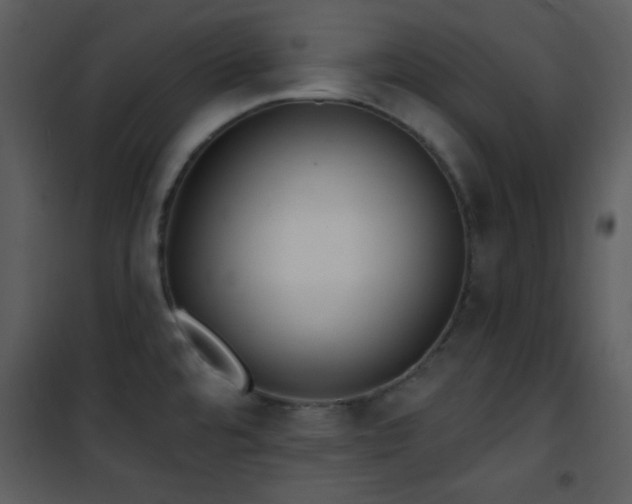 X0000102001480200807181153