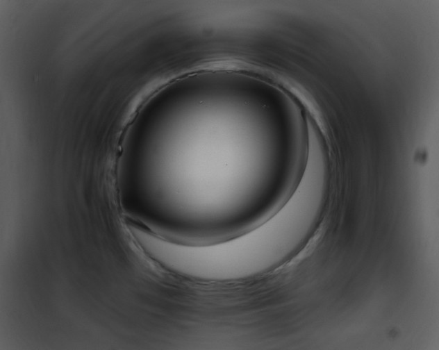 X0000102001481200807181153