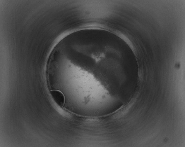 X0000102001482200807181153