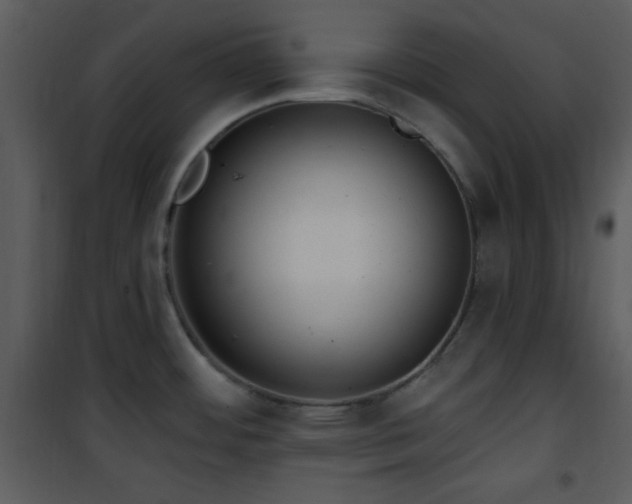 X0000102001484200807181153