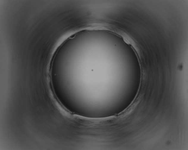 X0000102001485200807181153