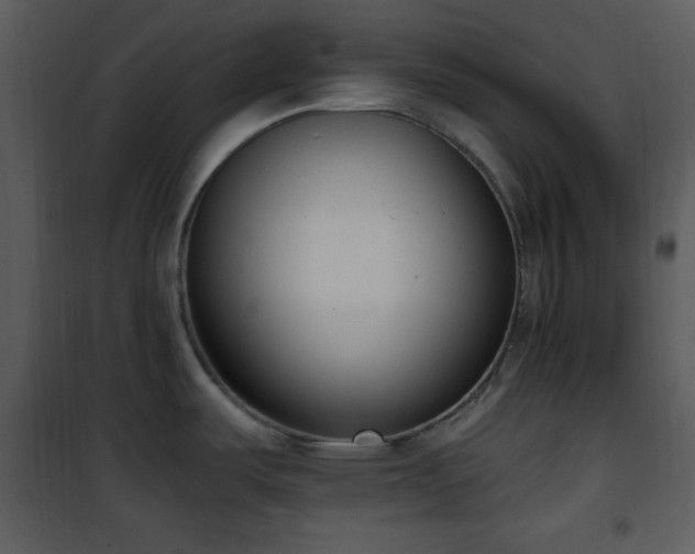 X0000102001487200807181153