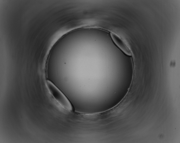 X0000102001488200807181153