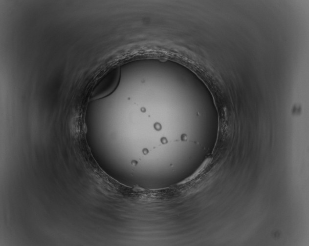 X0000102001490200807181152