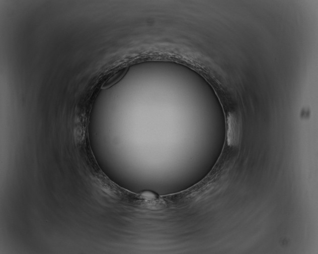 X0000102001491200807181152