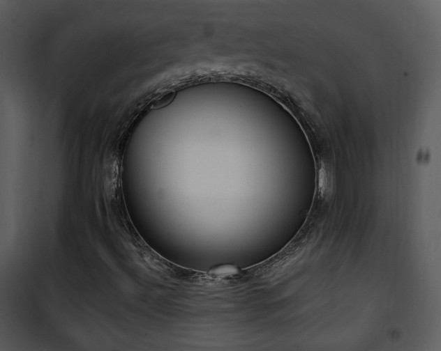 X0000102001492200807181152