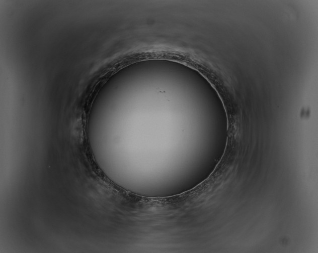 X0000102001493200807181152