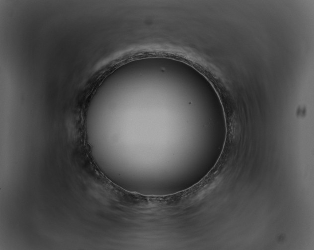 X0000102001494200807181152