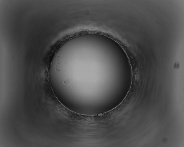 X0000102001495200807181152