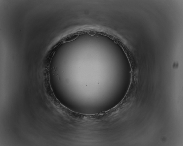 X0000102001496200807181152