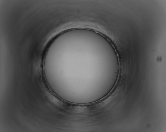 X0000102001498200807181152