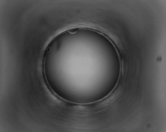 X0000102001500200807181152