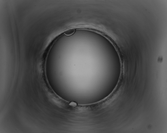 X0000102001501200807181152