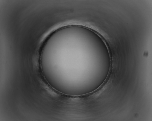 X0000102001502200807181152