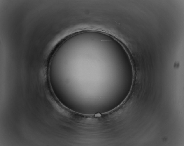 X0000102001503200807181152