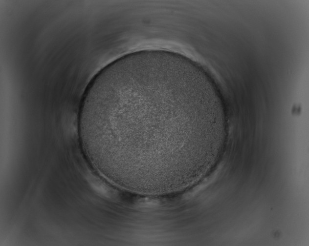 X0000102001505200807181152