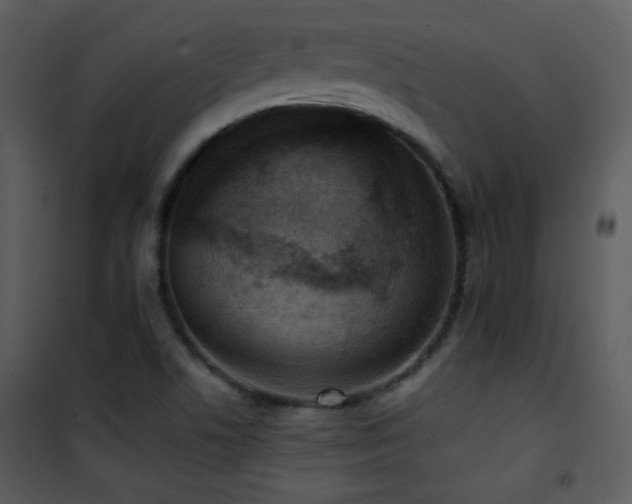 X0000102001506200807181152