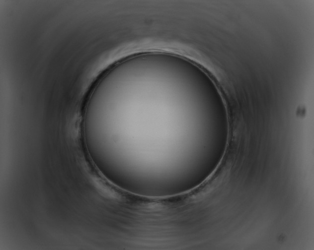 X0000102001507200807181152