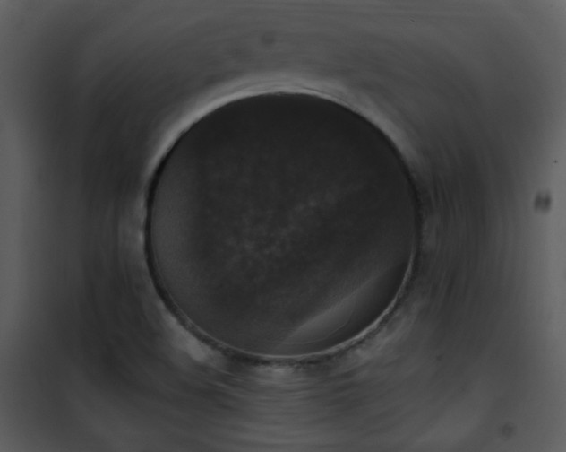 X0000102001508200807181152