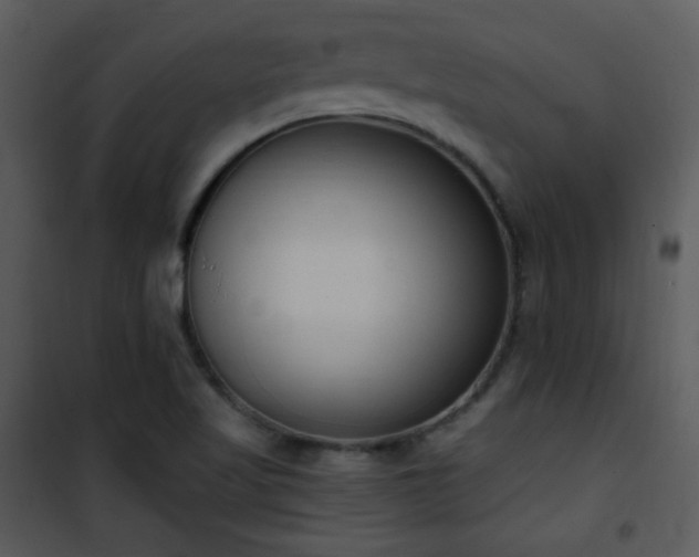 X0000102001509200807181152