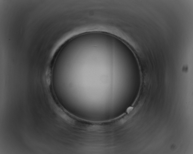 X0000102001510200807181152