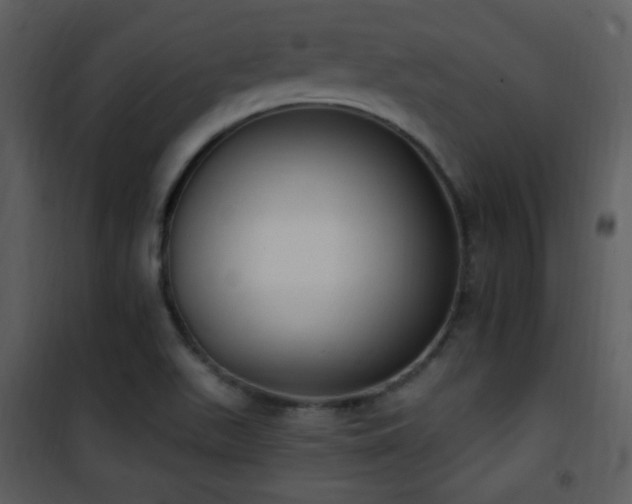 X0000102001511200807181152