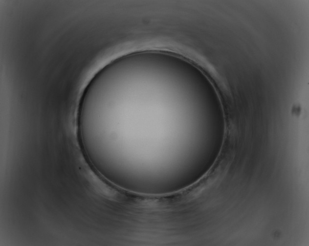 X0000102001512200807181152