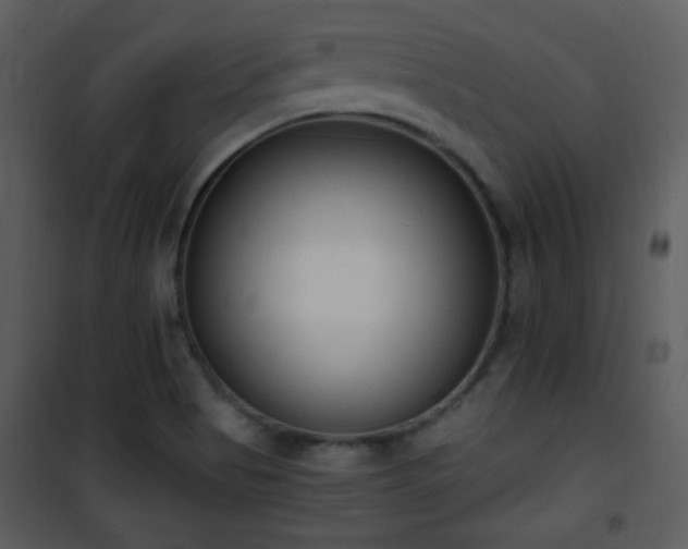 X0000102001513200807181152