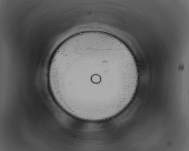 X0000102001514200807181152