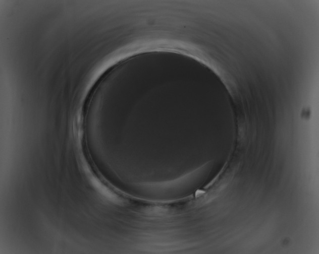 X0000102001515200807181152