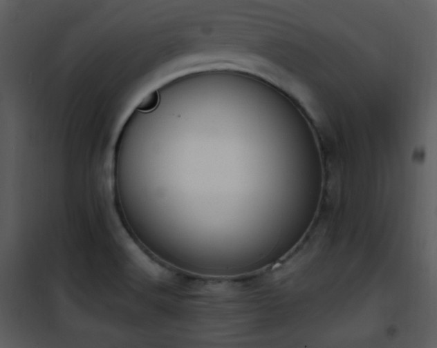 X0000102001516200807181152