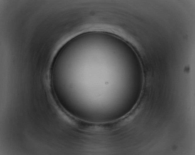 X0000102001517200807181152