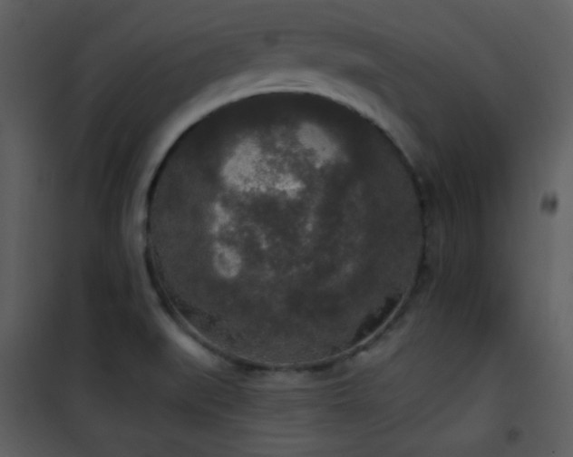 X0000102001519200807181152